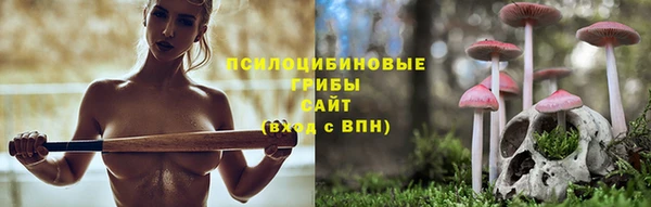 спиды Костерёво
